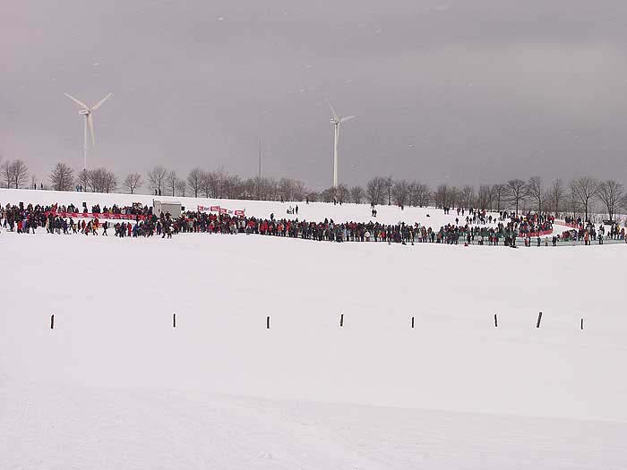 2003 schlittenhunde001.jpg